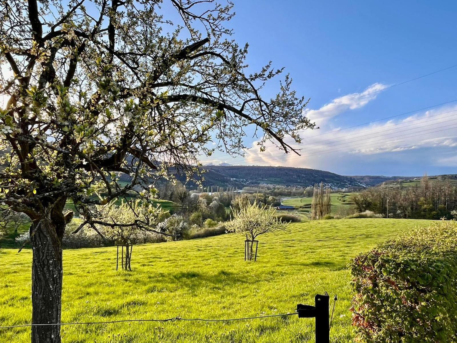 B&B Roudenhaff Έχτερναχ Εξωτερικό φωτογραφία